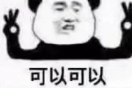 催收员的目标和计划：高效债务回收的艺术
