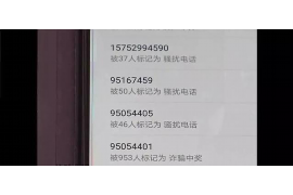 为什么催收短信用拼音打字?揭秘催收行业的独特沟通方式 为什么催收短信用拼音打字?揭秘催收行业的独特沟通方式