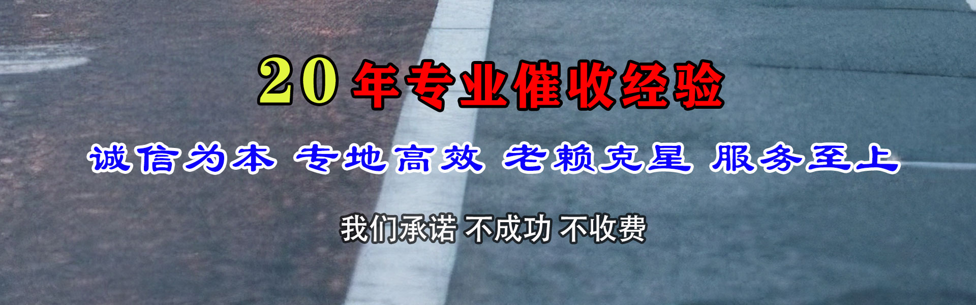 陆丰追账公司