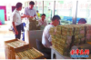 荔城讨账公司电话号码查询：解决债务问题的得力助手
