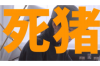 **骂了小额贷催收员，后果究竟有多严重？**