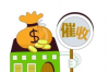 催收神探app：现代催收领域的数字化先锋